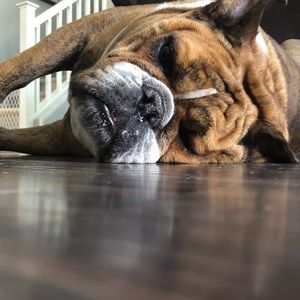 Meet your Posher, April